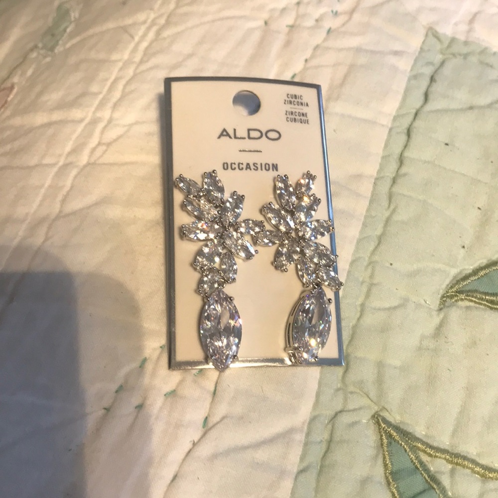 Aldo Earrings